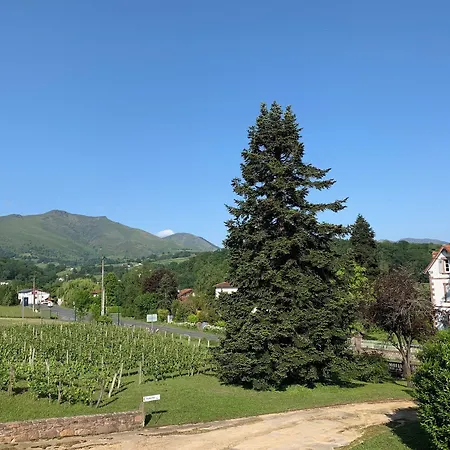 Frühstückspension Harriet *