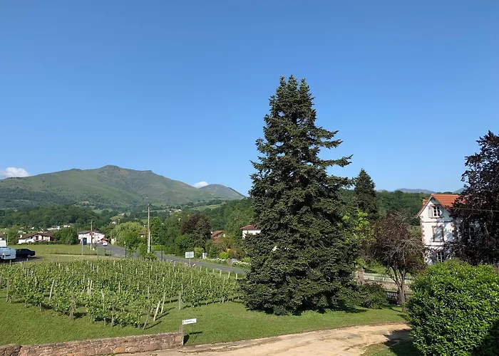 Bed & Breakfast Harriet *